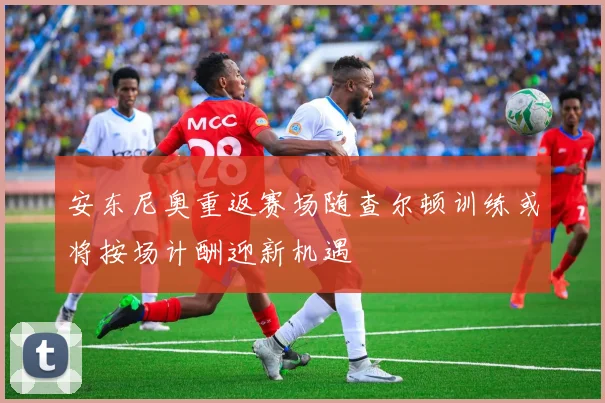 安东尼奥重返赛场随查尔顿训练或将按场计酬迎新机遇