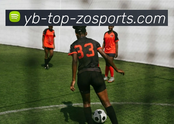 中欧体育发展历程