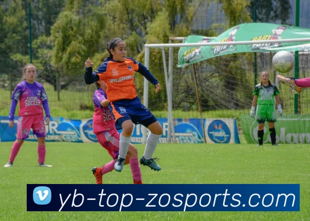 佳夫分享米兰经历与伊布的独特教导助力个人成长与进步